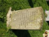 image of grave number 555231